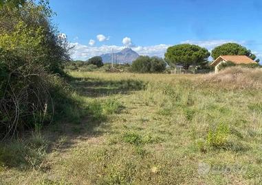 Vendi terreno agricolo