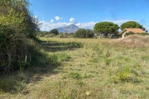 Vendi terreno agricolo
