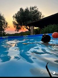 Villetta vista mare