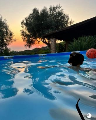 Villetta vista mare