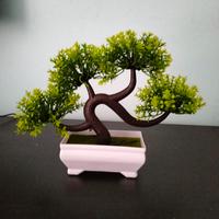 bonsai