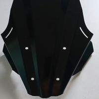 Cupolino DePretto Warrior CB1000r