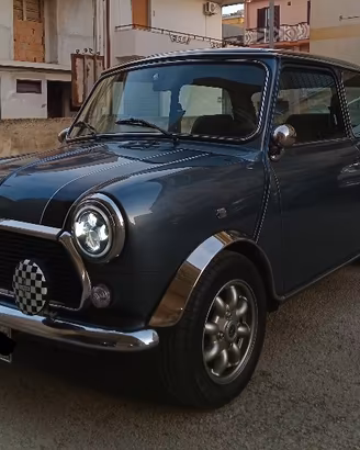 Mini.