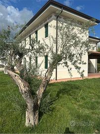 Oriago casa singola nuova costruzione