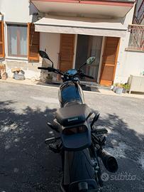 Benelli Leoncino 500