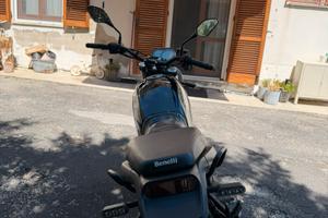 Benelli Leoncino 500