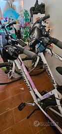  Biciclette uomo e donna marca Bianchi