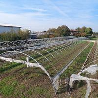 Serre tunnel professionali