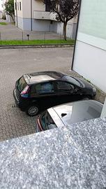 fiat punto evo