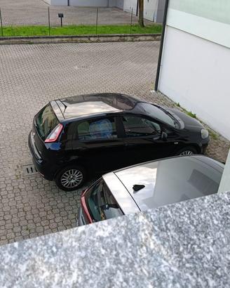 fiat punto evo