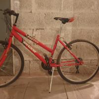 Mountain bike
