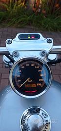 Harley Davidson 883 XL 53 c 