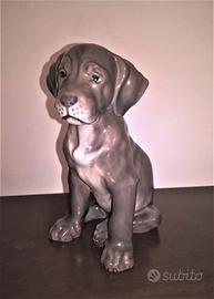 Raro Cane Royal Copenhagen n.1255 vintage