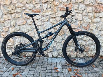 Specialized Status 160