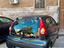 Immagine 2