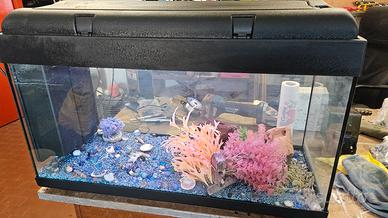 acquario 80 x 30 x 54 cm