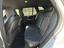 Immagine 11