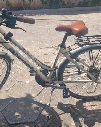 bicicletta