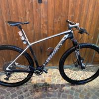 mtb s-world stumpjumper