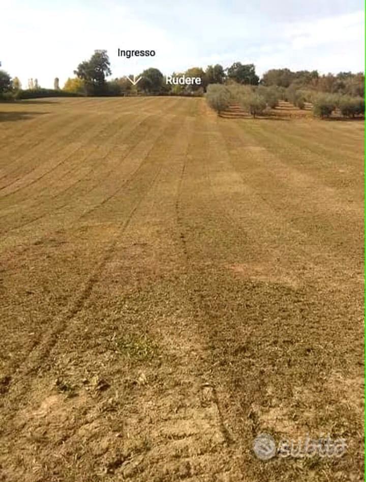 Terreno e rudere - Vista 2