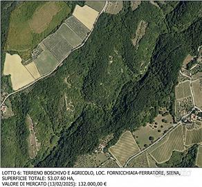 Terreno Agricolo - Siena