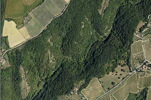 Terreno Agricolo - Siena