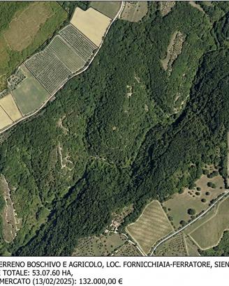 Terreno Agricolo - Siena