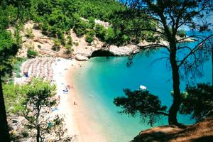 Pugnochiuso - I Delfini dal 19 al 26 luglio