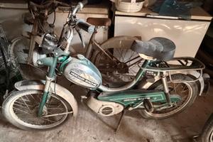 Motorino hercules sachs 623 lux