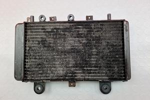 RADIATORE ACQUA TRIUMPH TIGER 955 2002 2006 955i 2