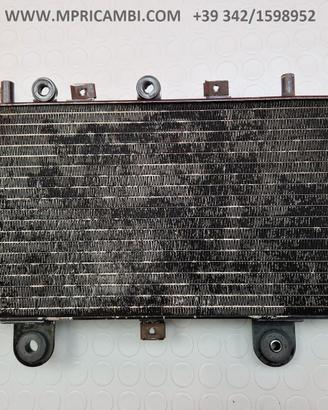 RADIATORE ACQUA TRIUMPH TIGER 955 2002 2006 955i 2