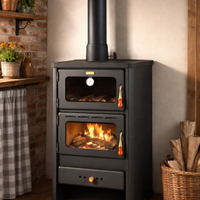 Stufa a legna con forno