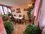 Immagine 11