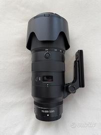 Nikon NIKKOR Z 70-200mm f/2.8 VR S