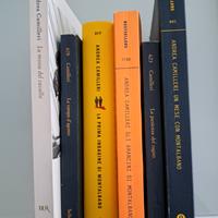 6 libri di camilleri