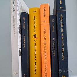 6 libri di camilleri