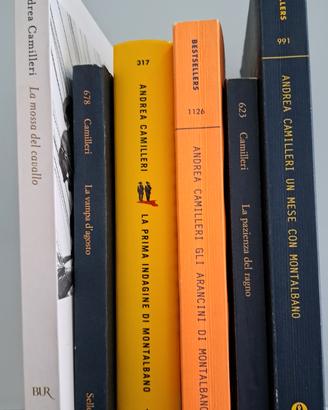 6 libri di camilleri