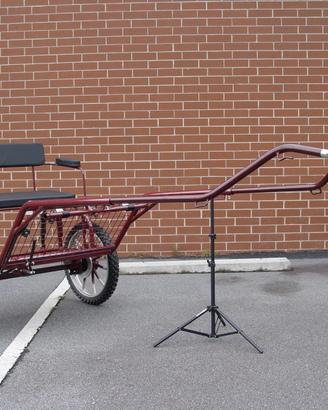 Calesse pony Shetland