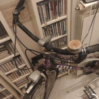 Bicicletta da donna passeggio
