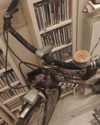 Bicicletta da donna passeggio