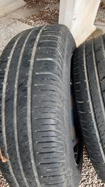 gomme estive