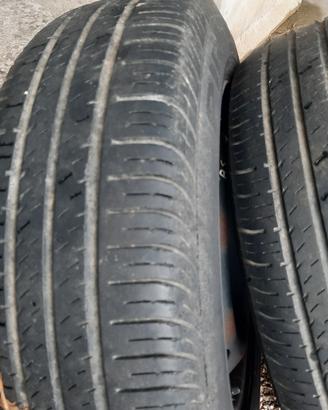 gomme estive