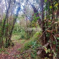 TERRENO NOCCIOLETO IN ZONA FICARRA.