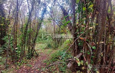 TERRENO NOCCIOLETO IN ZONA FICARRA.