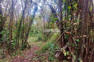 TERRENO NOCCIOLETO IN ZONA FICARRA.