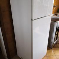 FRIGO REX COMBINATO CONGELATORE-FRIGO.