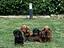 Immagine 21