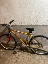 Mountain Bike DA SISTEMARE