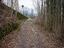 Immagine 10