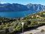Immagine 26